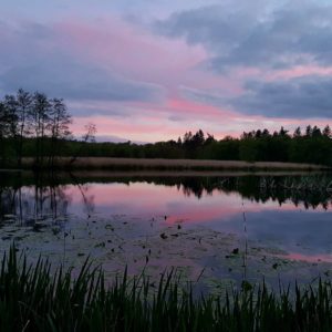 Scoulton Mere Fishery Syndicate