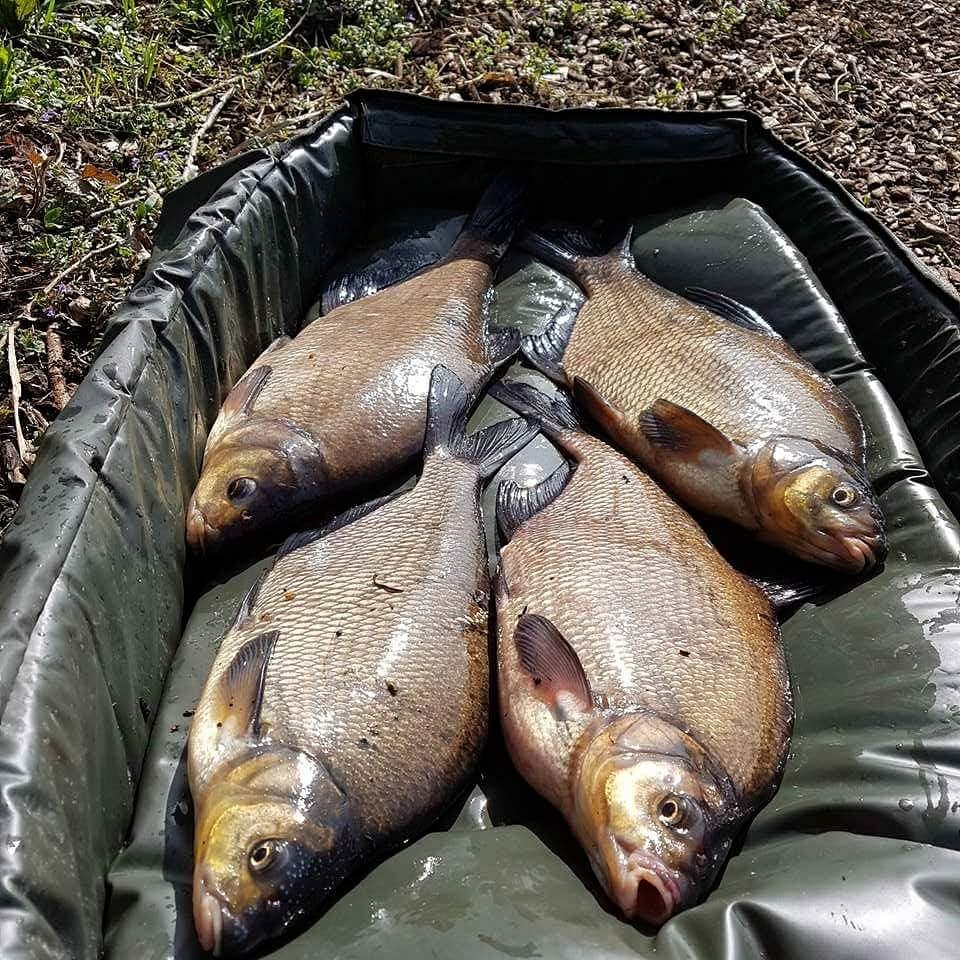 Bream fishing Scoulton mere